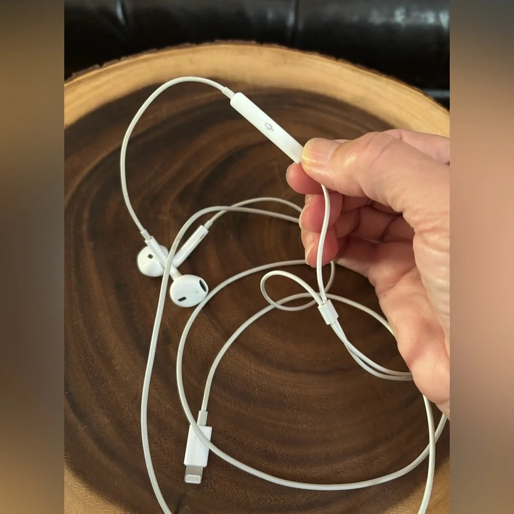 Apple earbuds iPhone, like brand new apple plug.